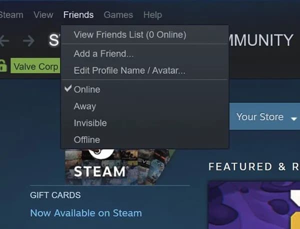 Offline in Steam
