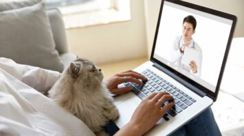 Huge Investment and Valuable Partnership for Pet Tech Startup Vetster